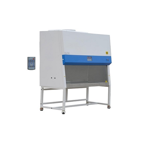 1731466111980376.jpg 500 (2).jpg